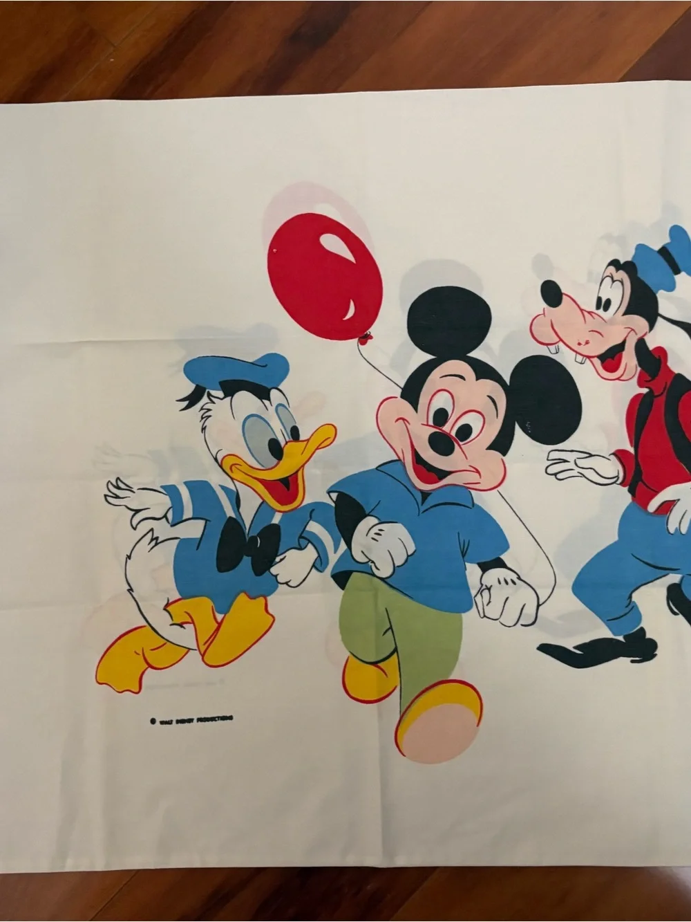 Vintage Disney pillowcases set of 2